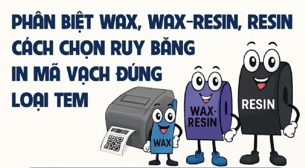 Hướng Dẫn Chọn Ruy Băng Phù Hợp Với Các Loại Decal